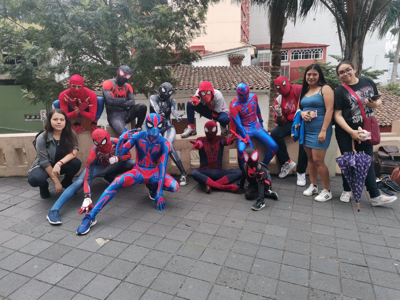 Fundación Tío Ben se une a colecta de croquetas en beneficio de perros y gatos abandonados