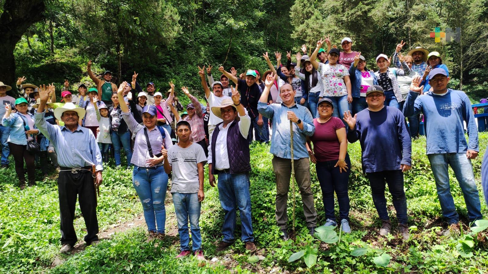 Tomatlán implementa programa de reforestación «Un árbol, una vida»