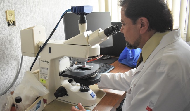 Instituto Nacional de Pediatría desarrolla protocolo para preservar fertilidad en adolescentes con cáncer