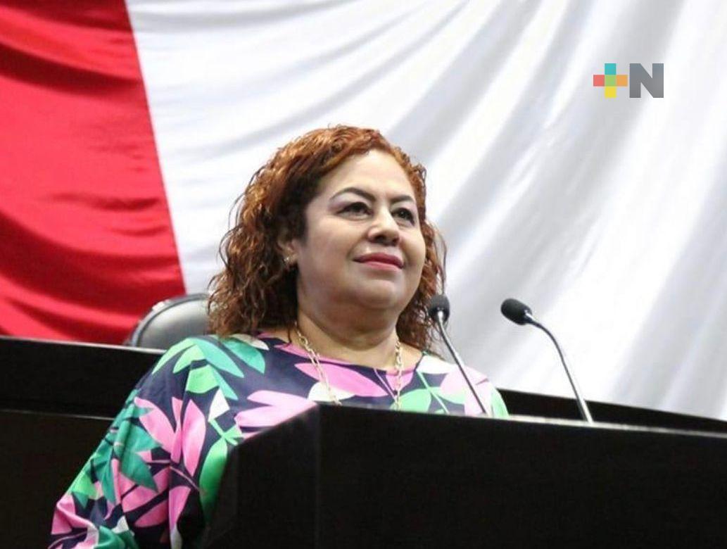 Claudia Sheinbaum dará continuidad a la transformación: Diputada
