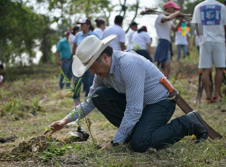 Mi Gobierno es ambientalista, compensa obras urbanas con medidas preventivas y de mitigación: Cuitláhuac García