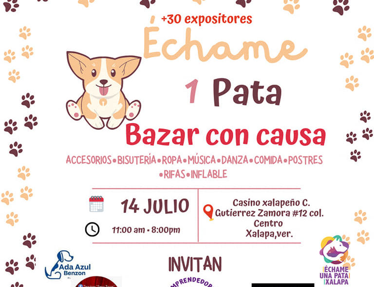 Emprendedores realizan bazar en apoyo a dos albergues de animales