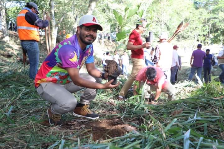 Súmate a reforestar Veracruz, la meta es plantar 100 mil arbolitos: Iván Luna