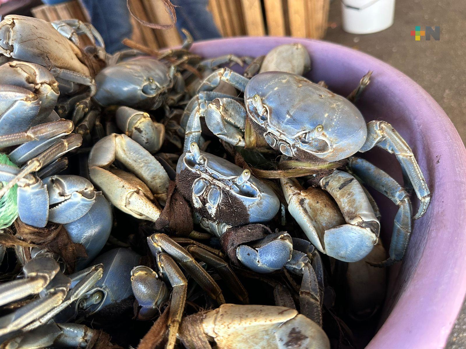 Asentamientos humanos e industrias afectan hábitat cangrejo azul