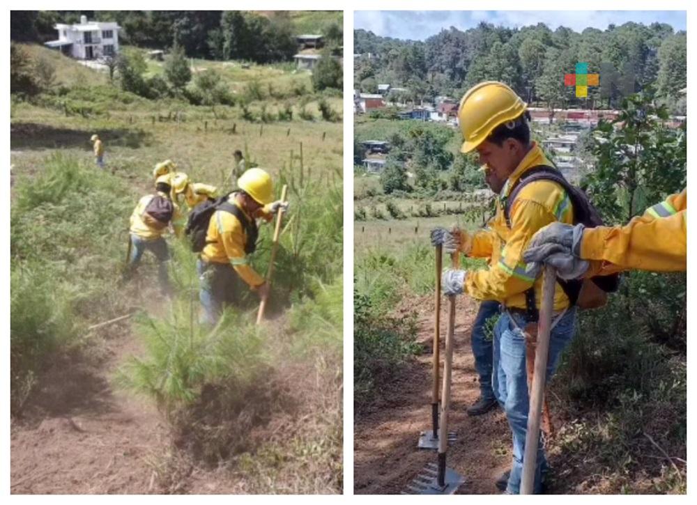 Semarnat y Conafor verifican brigadas contra incendios forestales en Huayacocotla