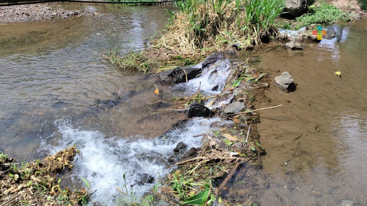 Limpieza de dos manantiales de El Castillo aminoraría estiaje en zona de Xalapa