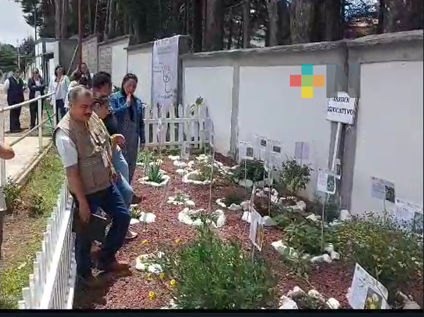 Inaugura jardín educativo de plantas medicinales y herbolaria en centro de salud de Huayacocotla