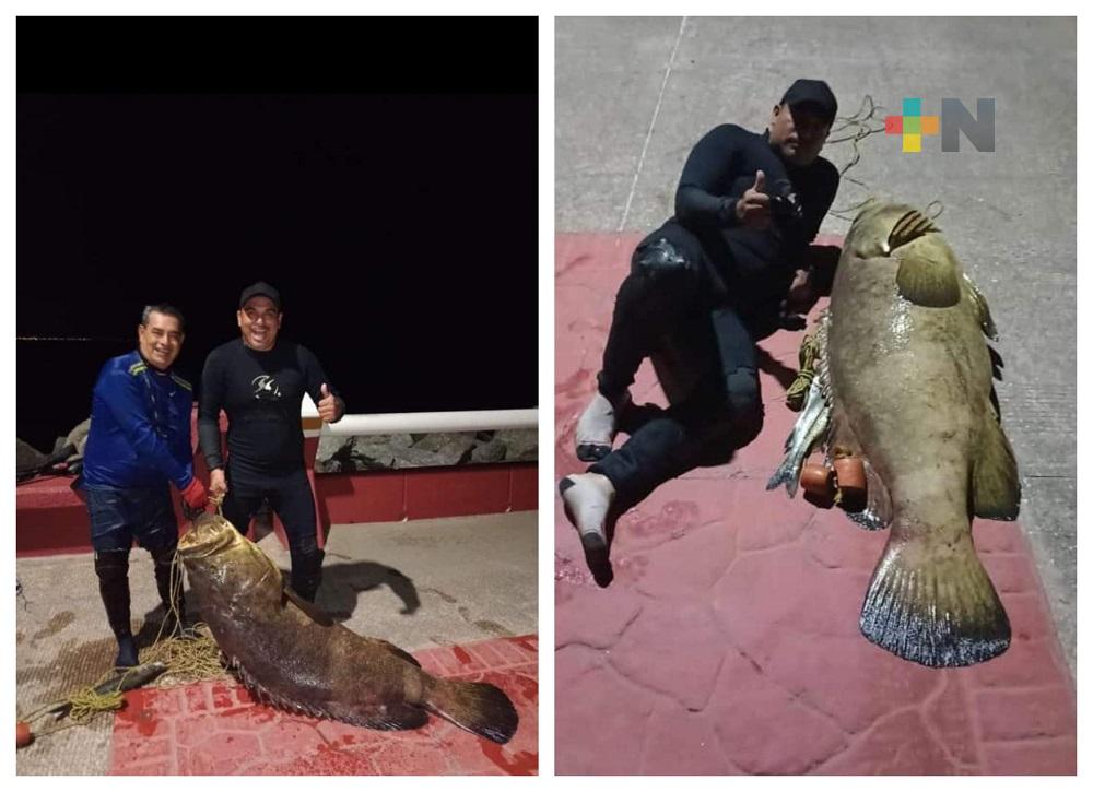 Capturan un pez cherna de más de 60 kilos en escollera de Coatzacoalcos