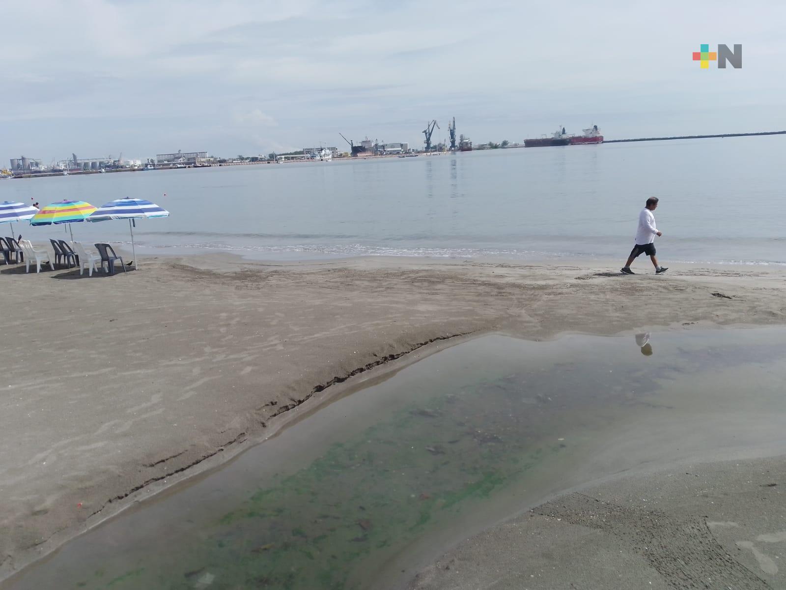Dos playas de Veracruz rebasan el límite máximo de bacterias: Cofepris