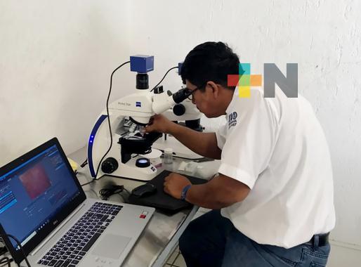 Implementan cooperación Agricultura e IICA para prevenir ingreso de mosca del Mediterráneo