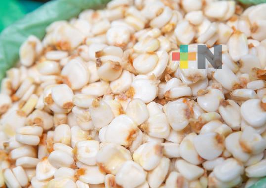 Crecerá en más de 2 millones de toneladas producción nacional de maíz grano en 2023: Agricultura