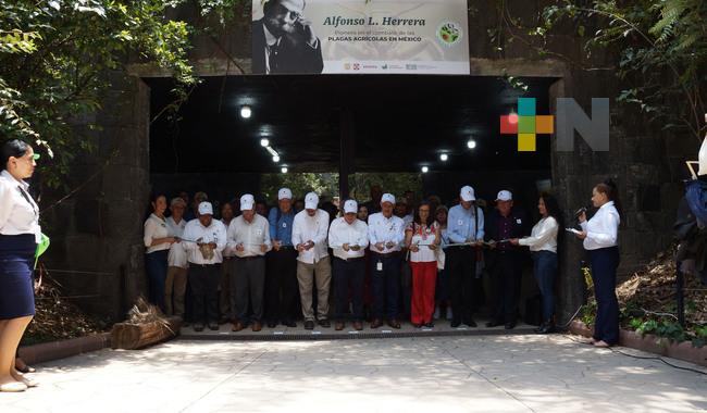 Conmemora Agricultura Día Nacional de la Sanidad Vegetal 2023