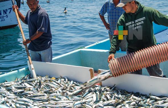 Actualiza Agricultura fichas de la Carta Nacional Pesquera