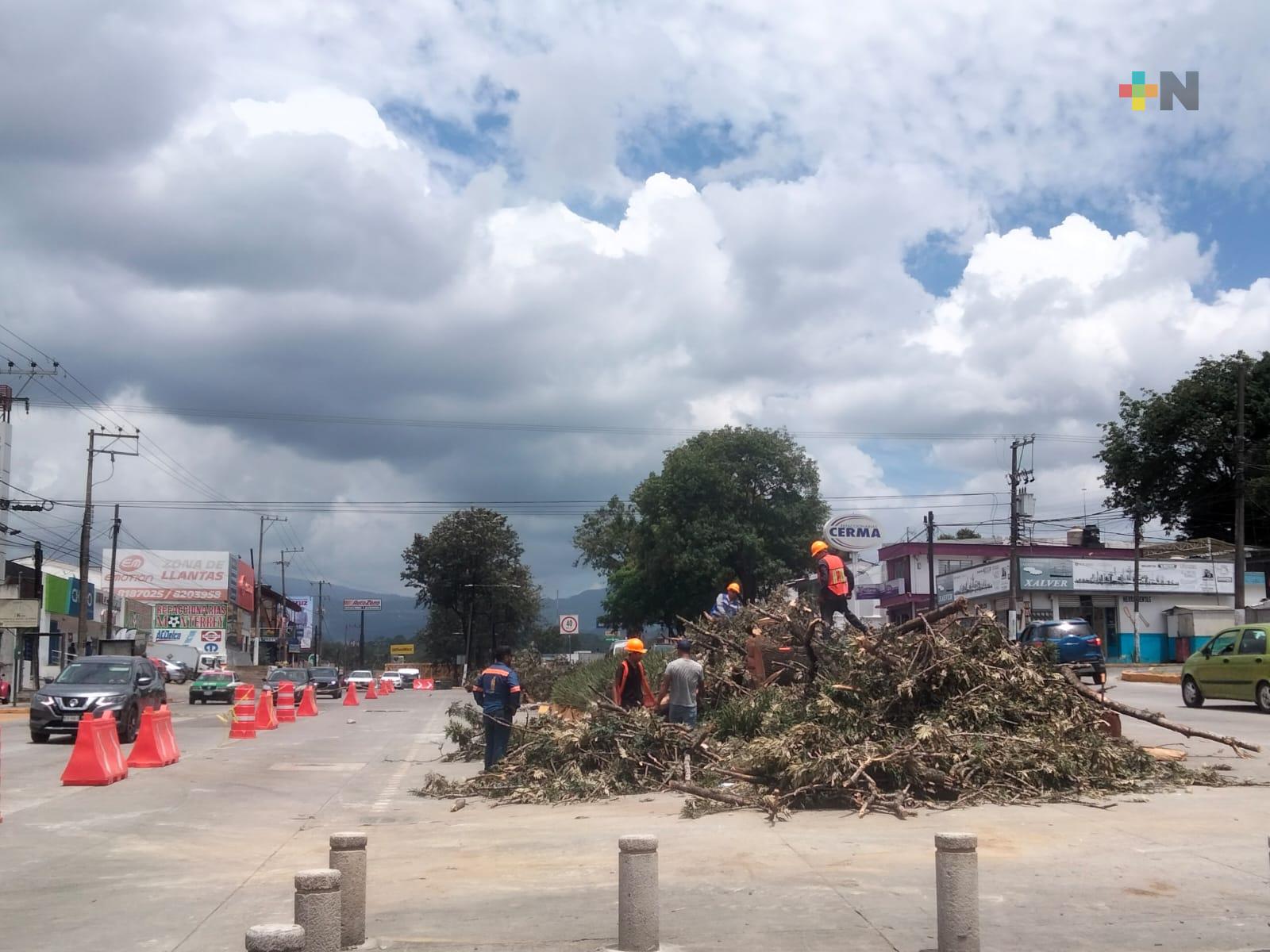 Avanzan los trabajos de construcción del paso vehicular de Xalapa