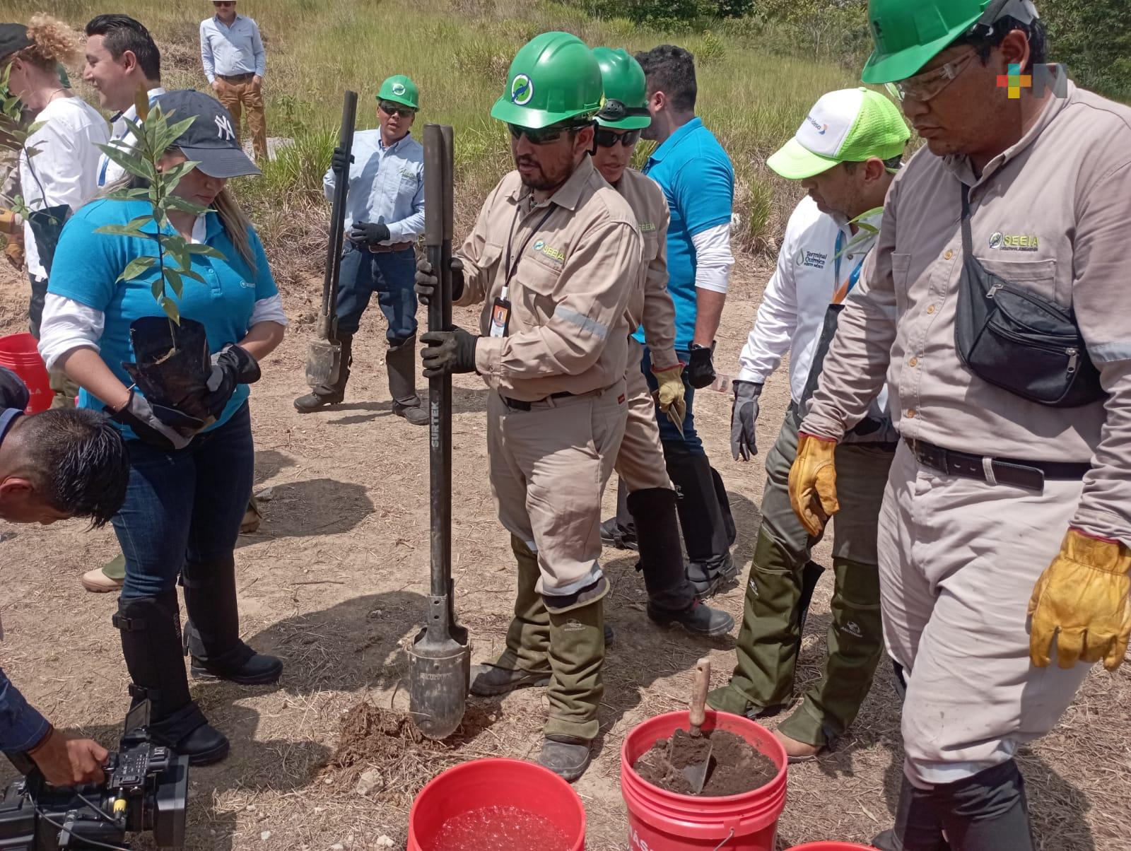 Llevan a cabo reforestación en UMA de Braskem Idesa; plantan más de 800 especies nativas