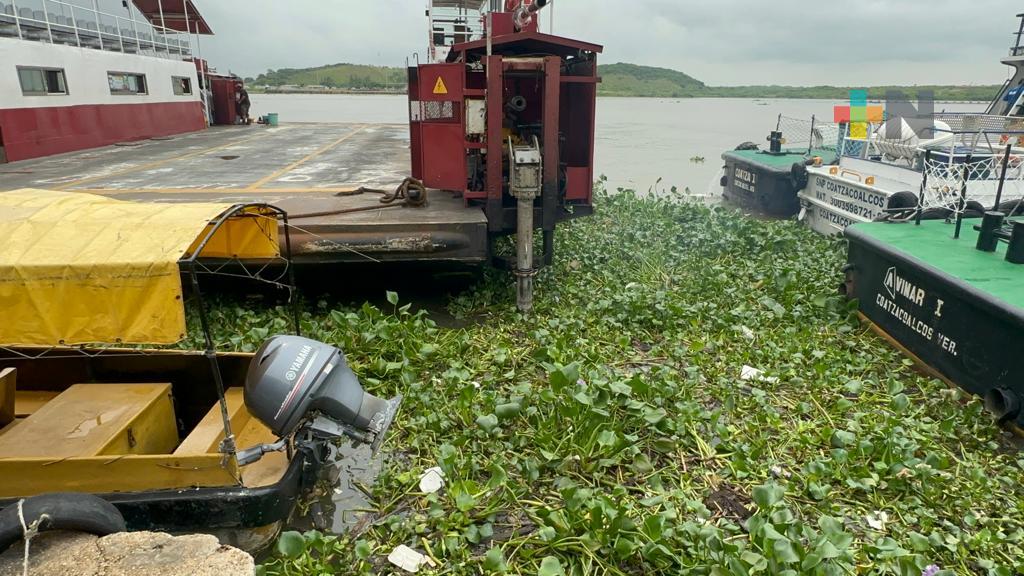 Lirio acuático y palotada provocan fallas en servicio de transbordador entre Coatza y Villa Allende