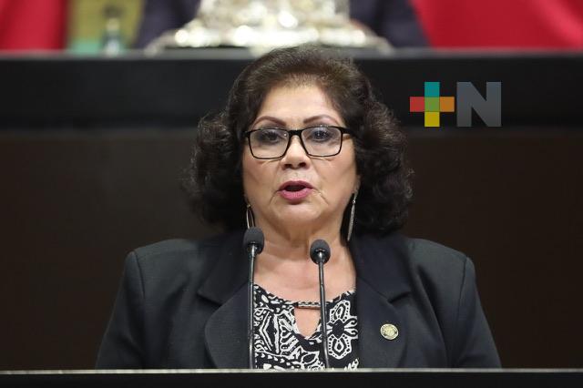 Plantea diputada prohibir reproducción total o parcial de diseños y creaciones de comunidades indígenas y afromexicanas