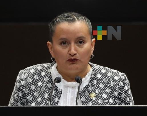 Pide diputada a Cofepris y Conadic vigilar operación de establecimientos especializados en adicciones