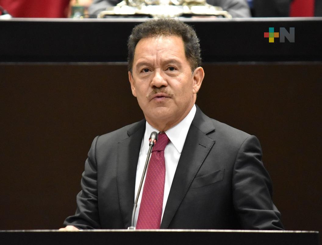 Con señalamientos falsos a libros de texto gratuitos, la oposición afecta niñas y niños: Ignacio Mier