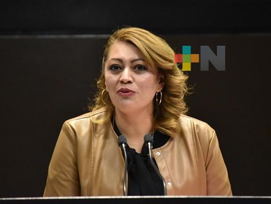 Necesario, establecer en la ley que personas con discapacidad cuenten con asistencia personal: Diputada