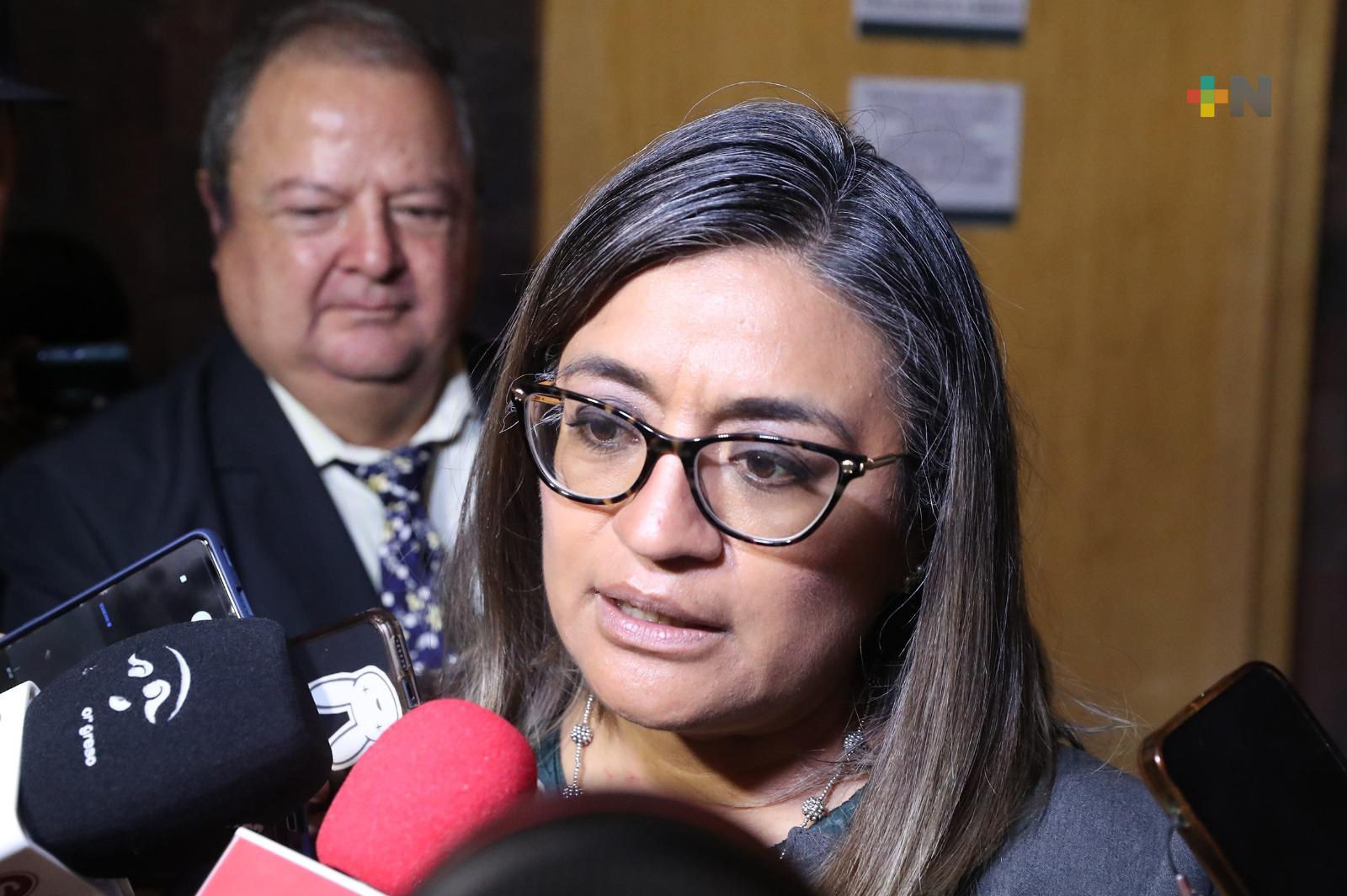 Nuevo Código Nacional de procedimientos civiles y familiares hará valer la justicia pronta y expedita: Diputada