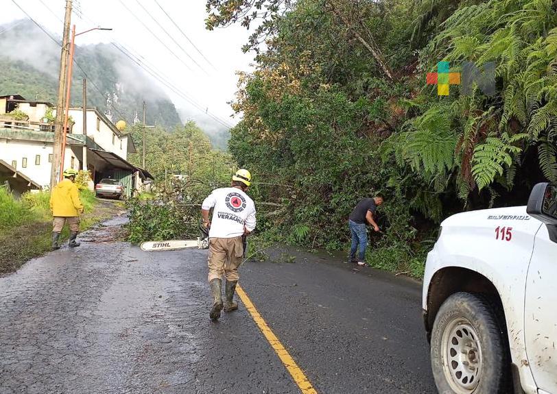 Reportan afectaciones en vialidades del Naranjal, Texhuacan, Tlilalpan, Coetzala y Omealca