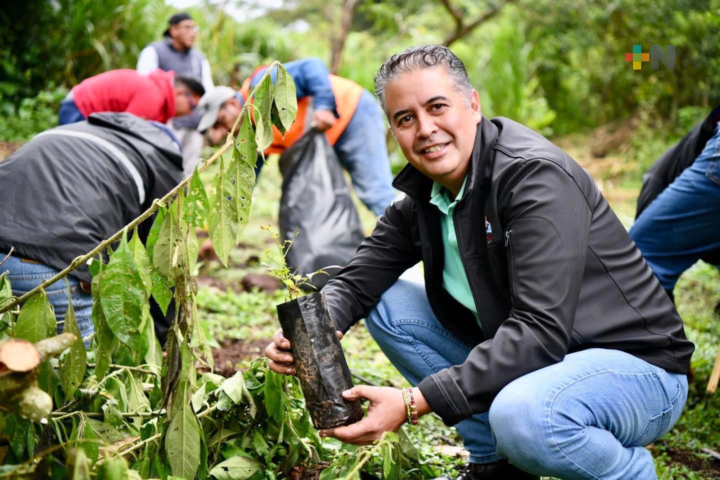 Sectur Veracruz participa en Jornada de compensación ambiental de Xalapa
