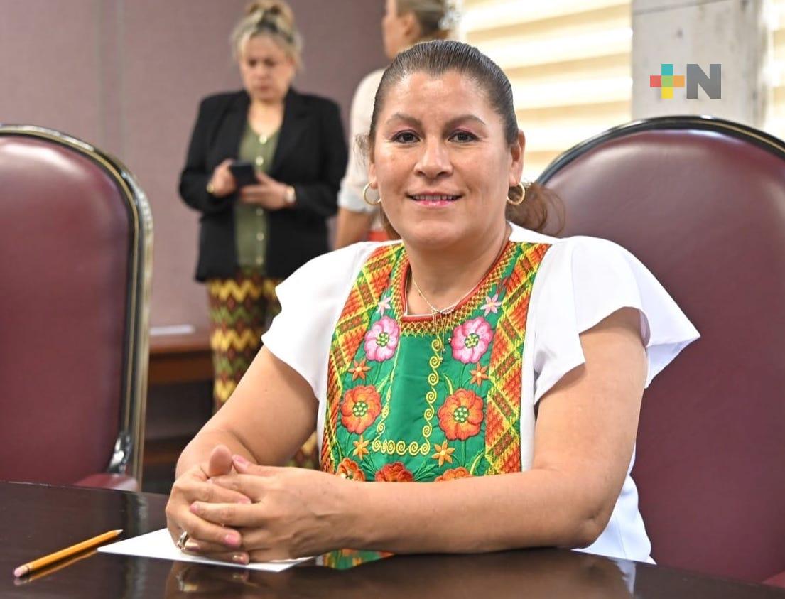 En Veracruz hay sensibilidad para atender a familias damnificadas de Zongolica: Diputada