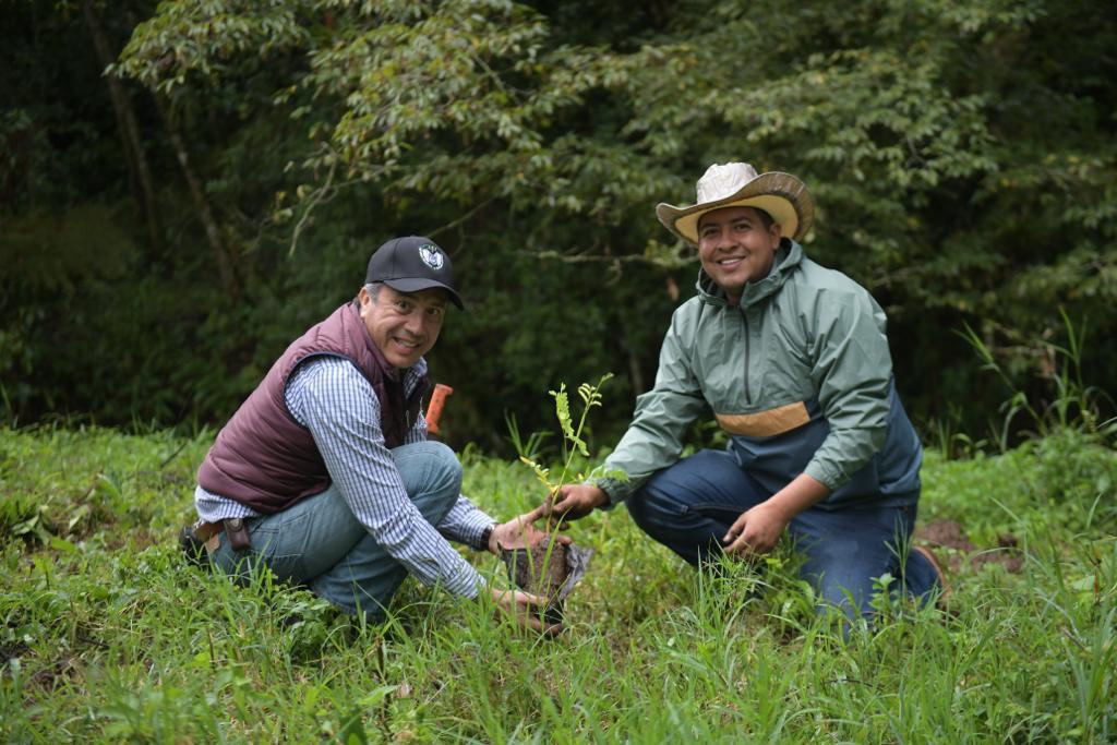 Gobierno sigue compensando el crecimiento urbano con reforestación