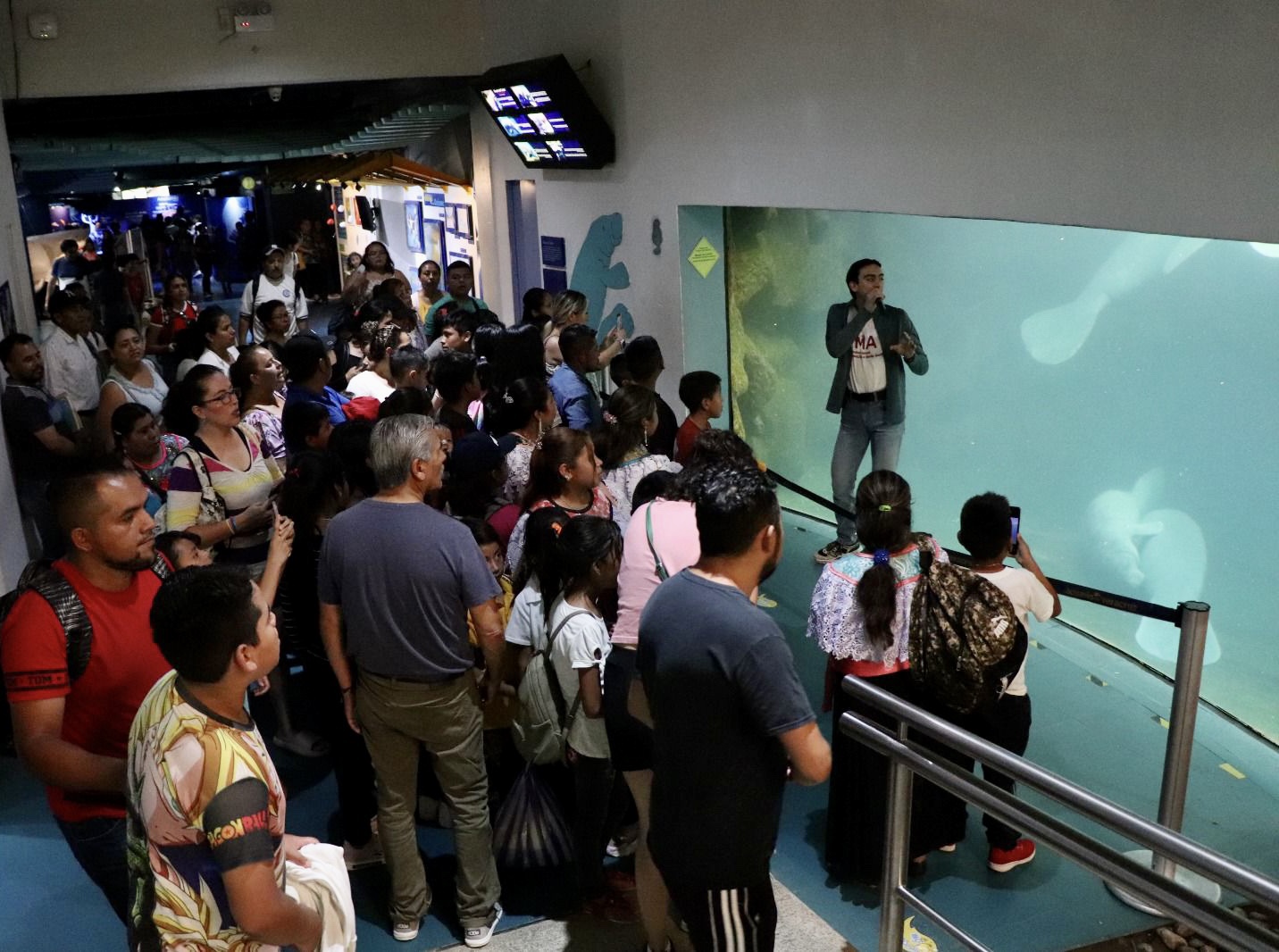 Regresan los martes de entrada gratuita en el Aquarium de Veracruz