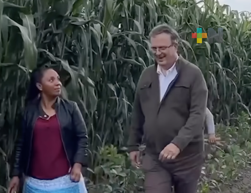 Fortaleza y seguridad alimentaria de México descansa en nuestras cosechas: Marcelo Ebrard