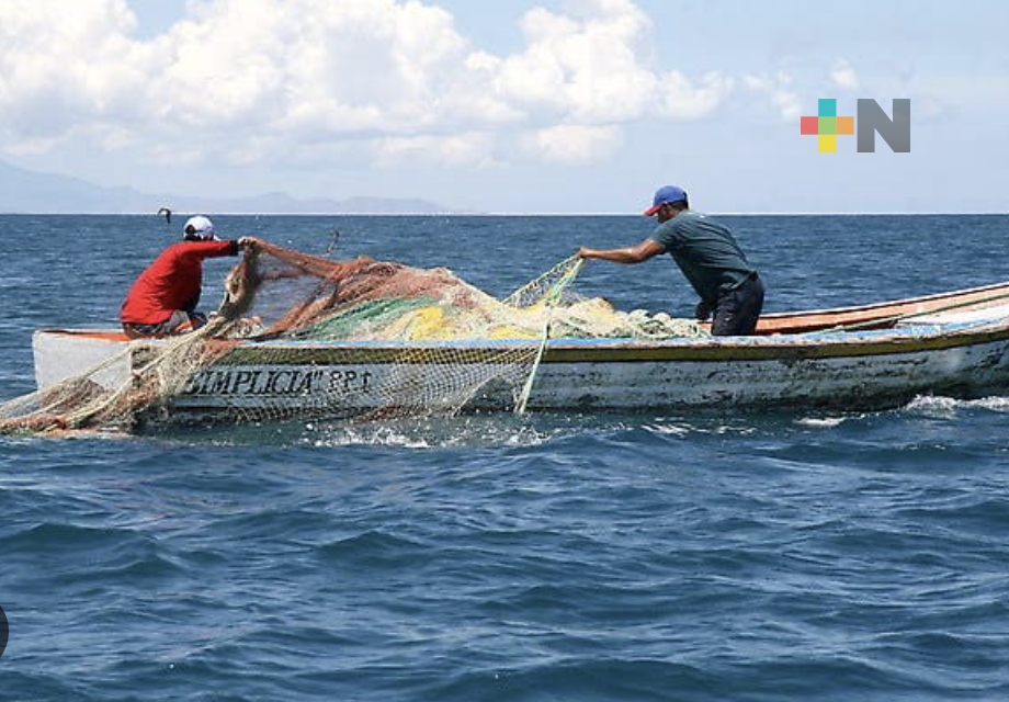 Senadores llaman a mejorar derechos laborales de quienes trabajan en el mar