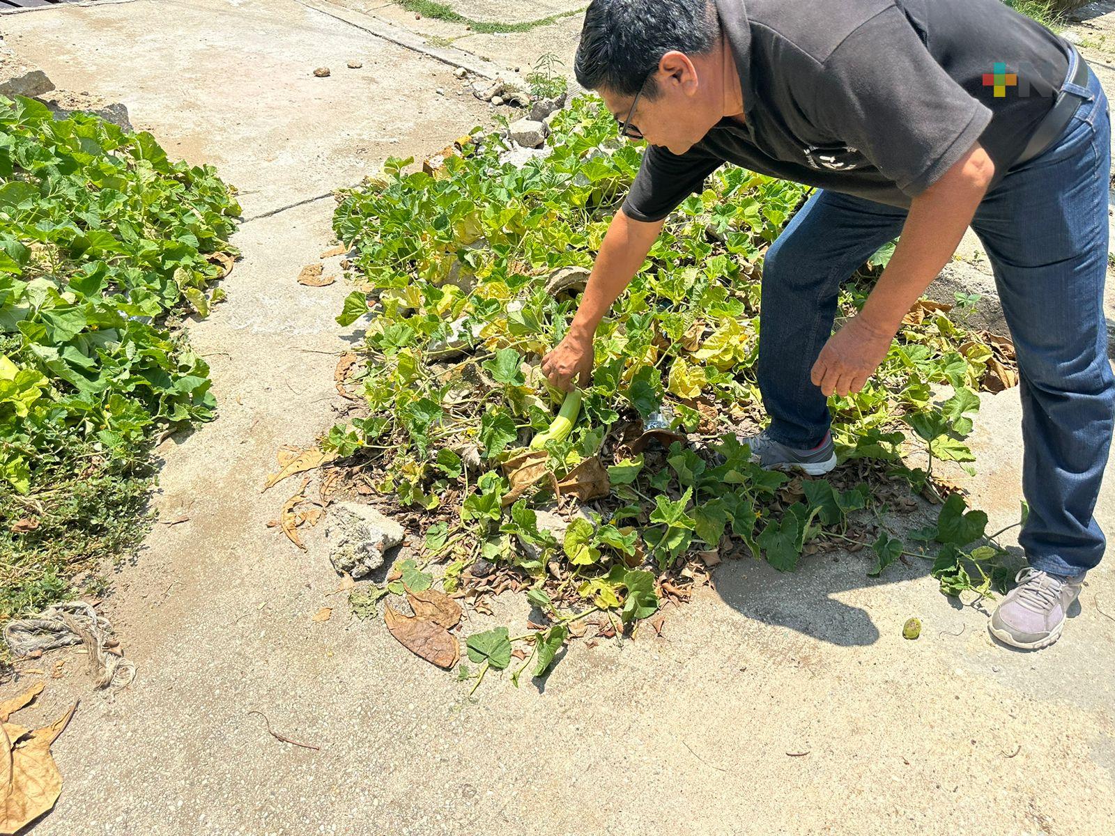 Crean huerto comunitario en socavón de Coatza