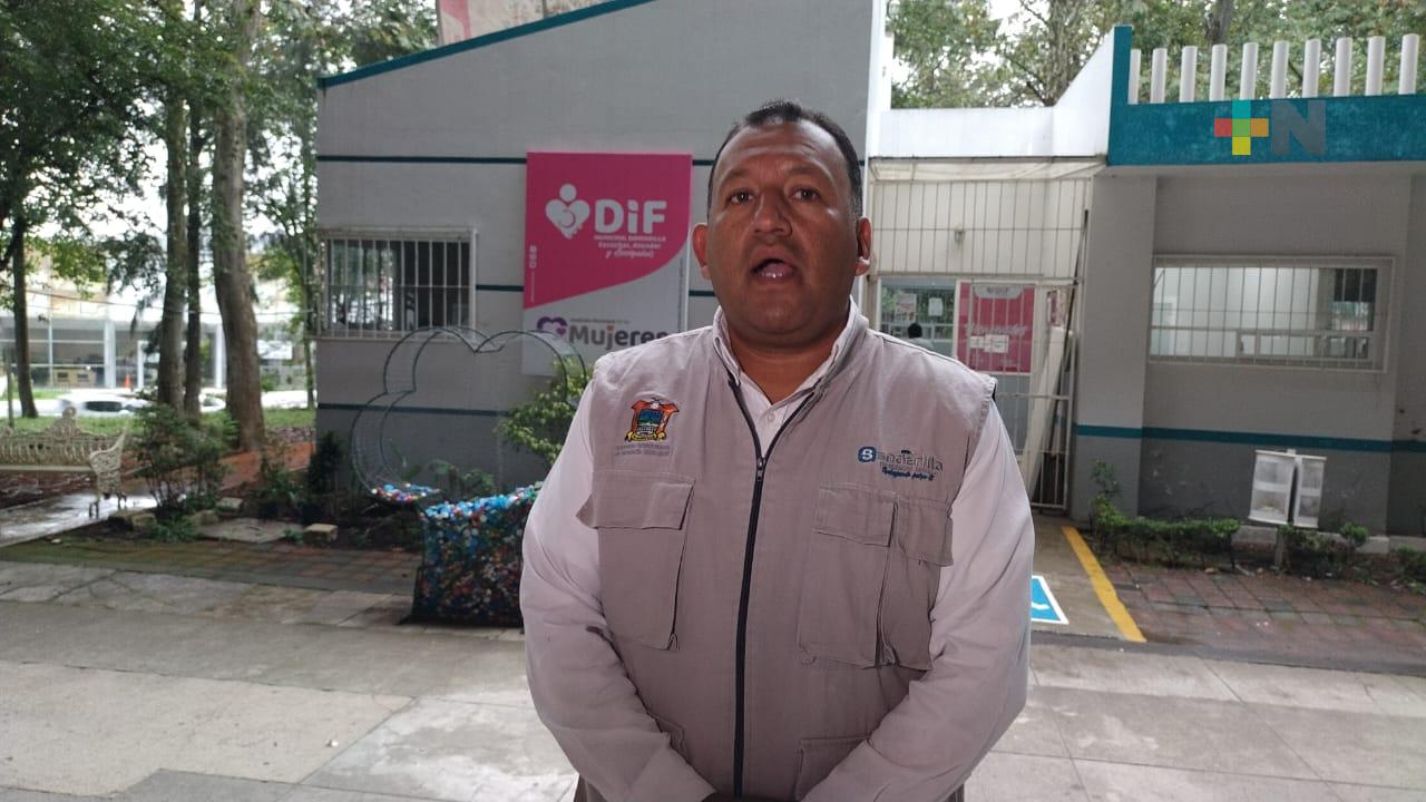 DIF de Banderilla ofrecerá cirugías gratuitas de labio y paladar hendido