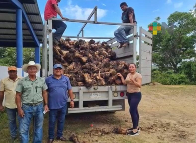 Diputada Perla Romero apoya a campesinos con afectaciones en cultivos