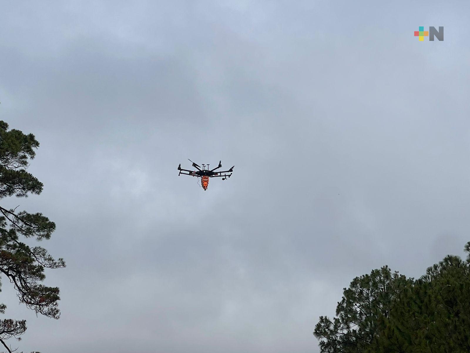 Fundación trabaja con drones para combatir deforestación en Veracruz