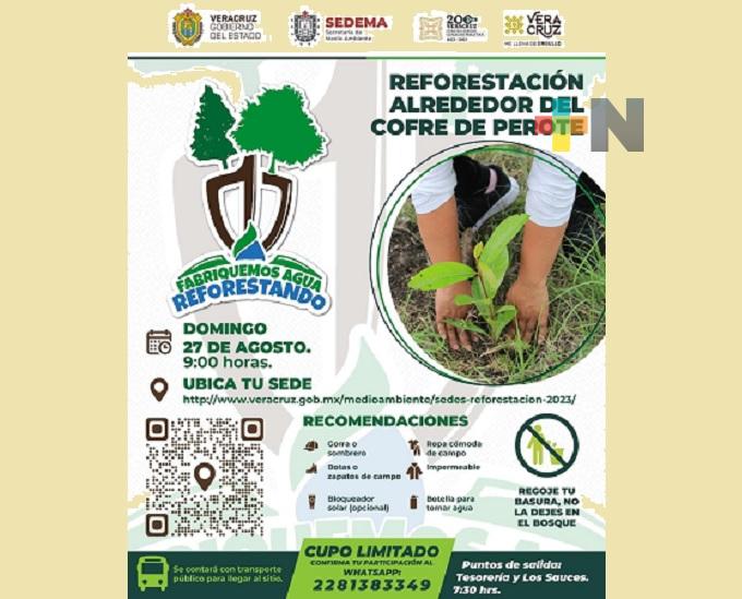 “Fabriquemos agua reforestando”, lema de campaña en el Cofre de Perote