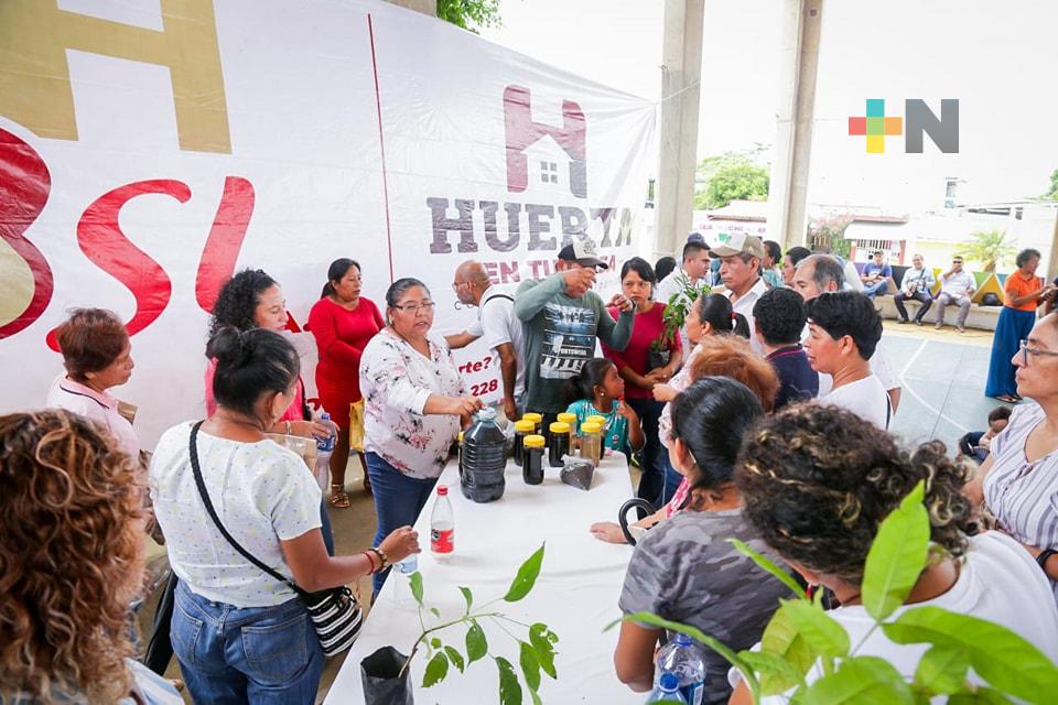 Asociación civil promueve programa «Huerta en tu casa» en todo el estado