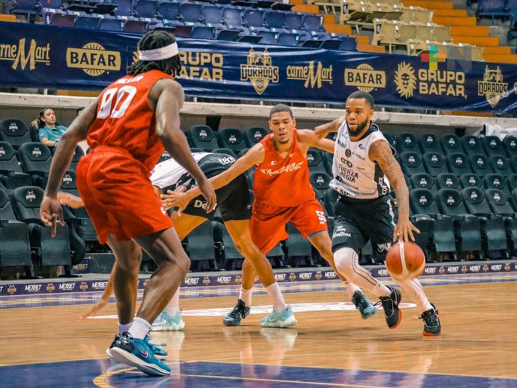 Halcones Rojos cae contra Fuerza Regia en juego de pretemporada