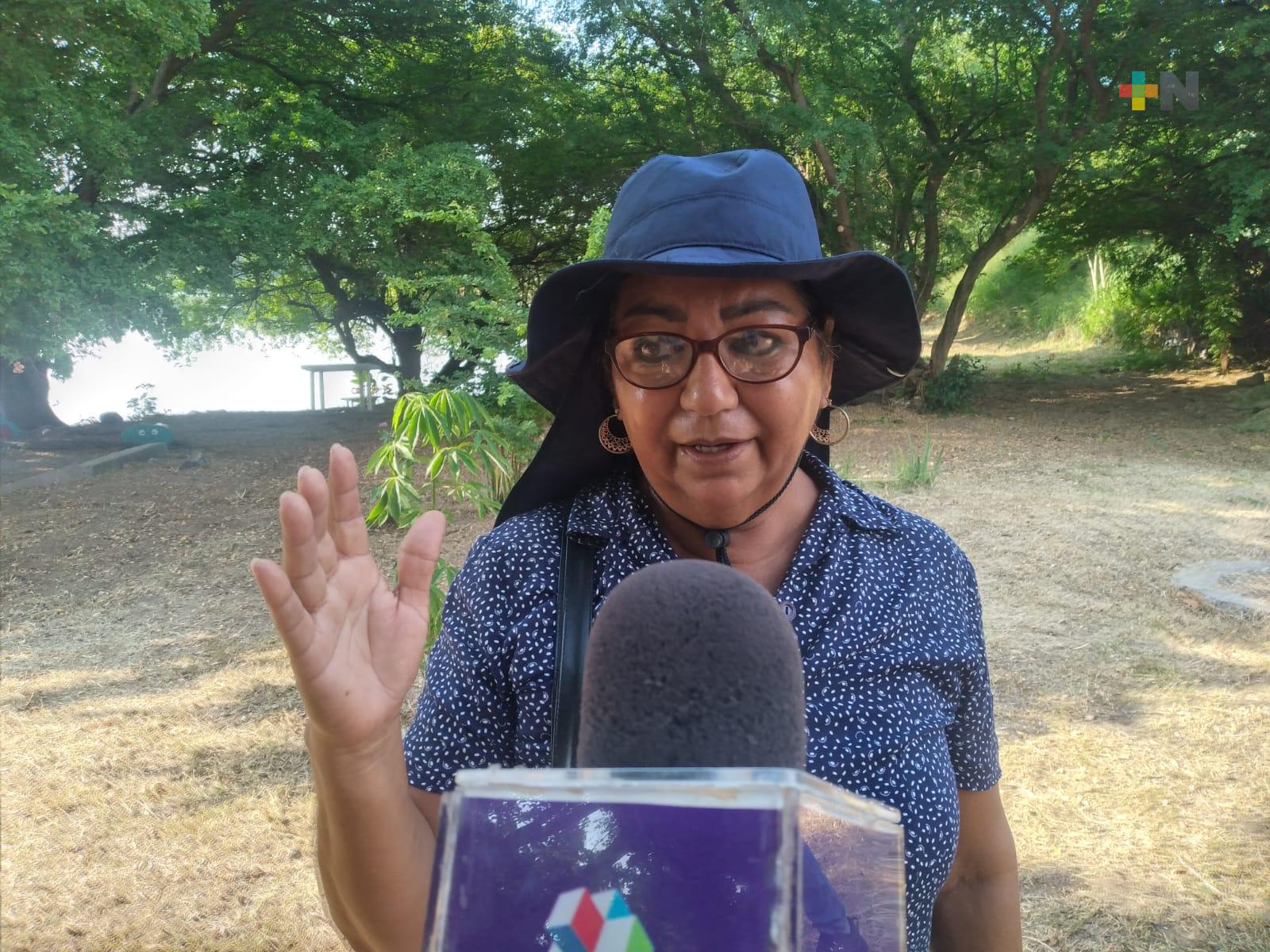 Vecinos denuncian mortandad de peces en laguna La Ilusión del municipio de Veracruz