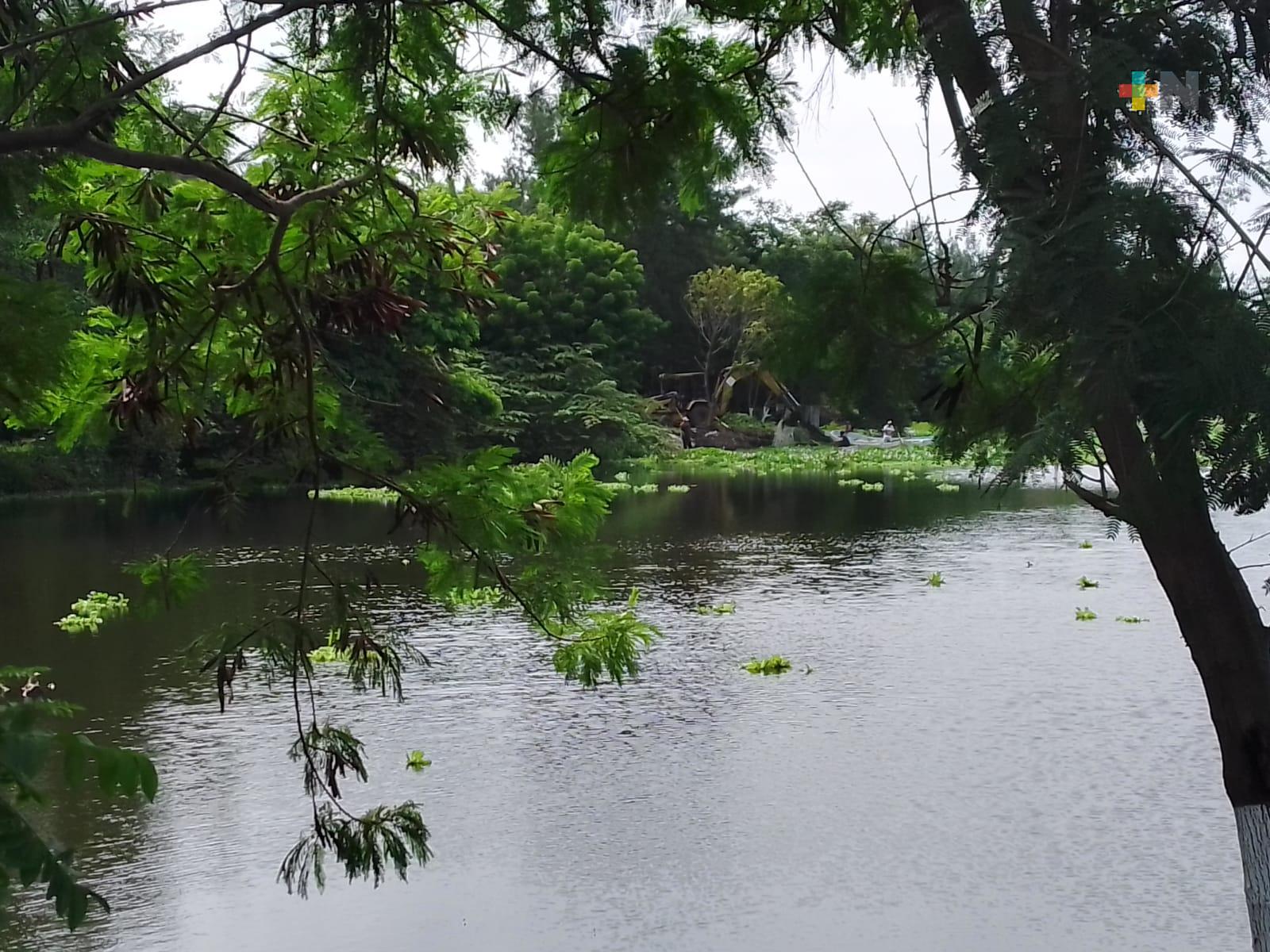 Vecinos confirman regreso de animales a laguna Lagartos tras ser saneada