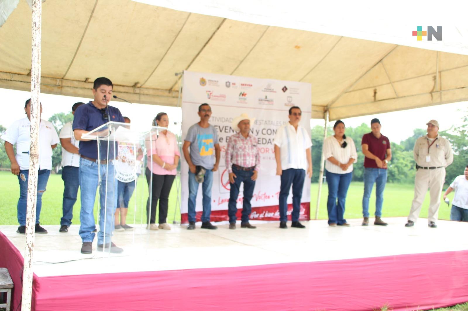 Municipios veracruzanos y poblanos ponen en marcha «Jornada interestatal de lucha contra el dengue»