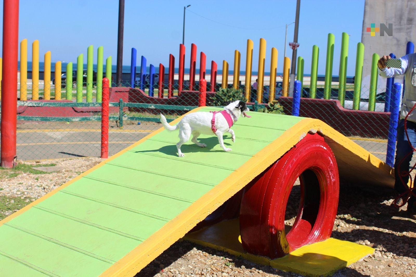 Llevarán a cabo Croquetiza 2023 en beneficio de asociaciones civiles de Coatzacoalcos