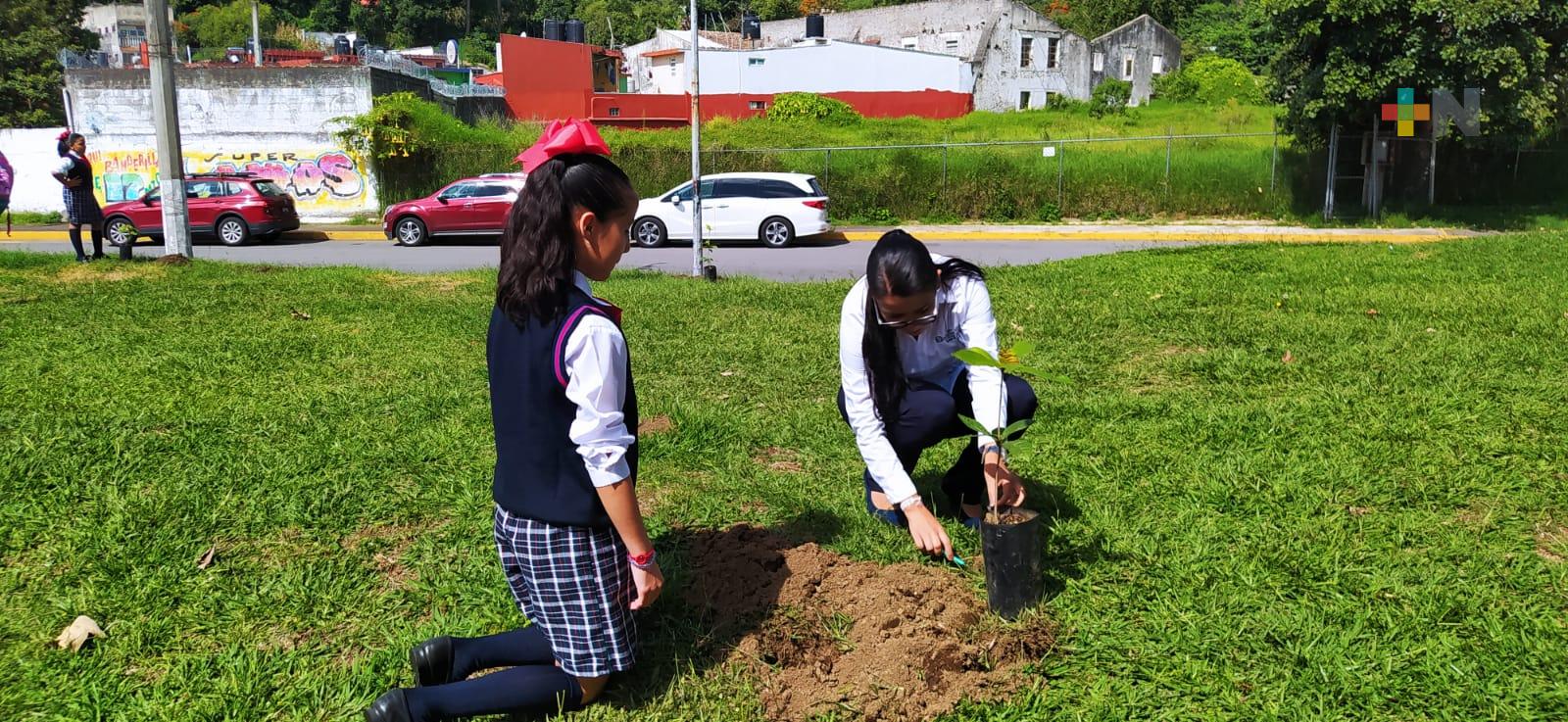 Invita ayuntamiento de Banderilla a las escuelas a seguir reforestando