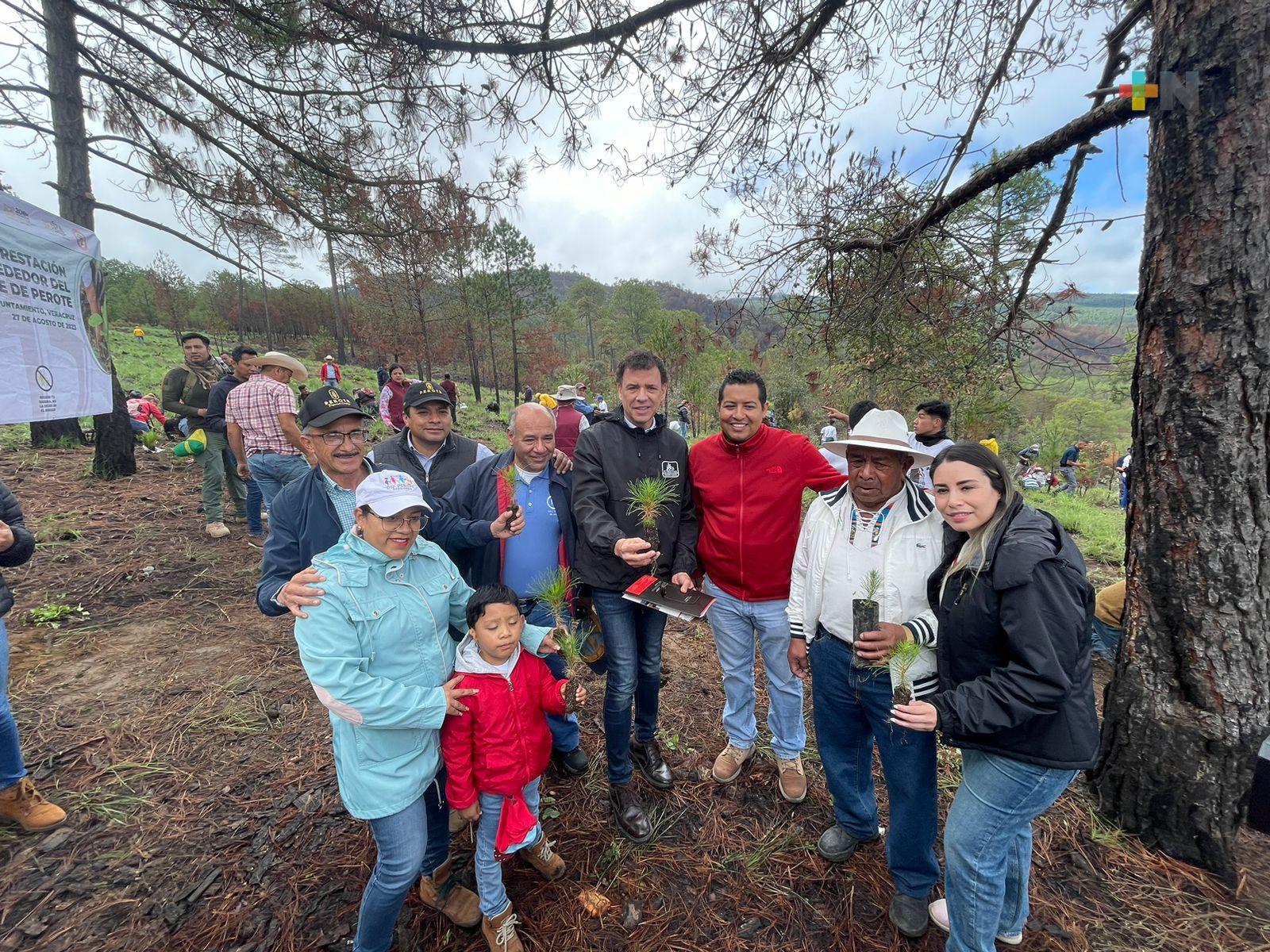 Sedema encabeza siembra masiva en Perote