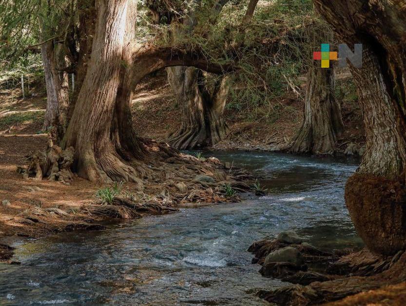 Emprende PMA rescate de reserva natural para fomentar ecoturismo en altas montañas