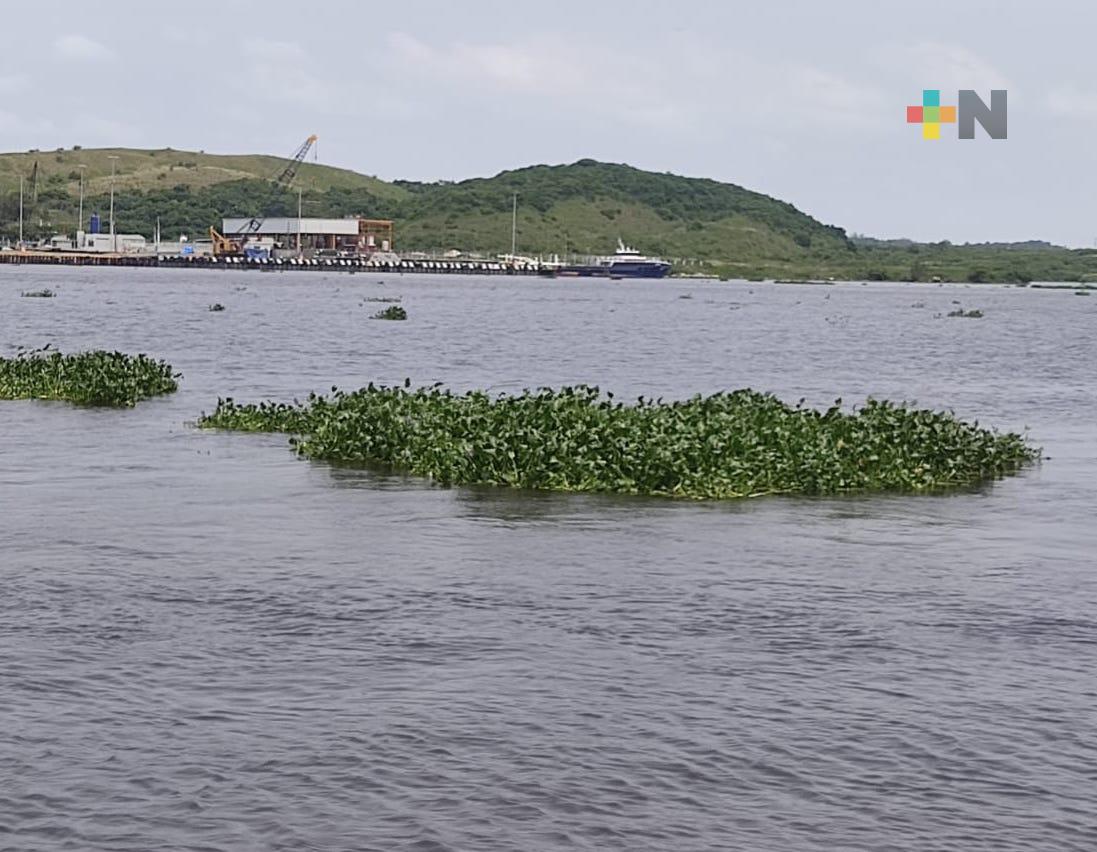 Por lluvias aumentó nivel del río Coatzacoalcos: Capitanía de puerto