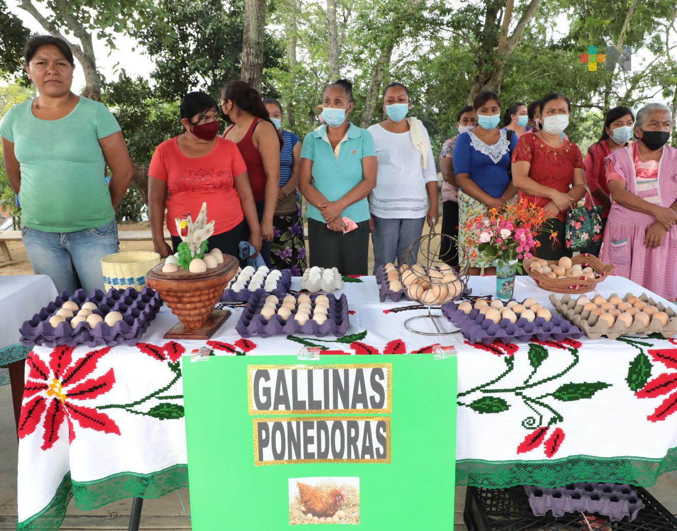 Sembremos Bienestar común, clave en reducción de pobreza en Veracruz: Sedesol