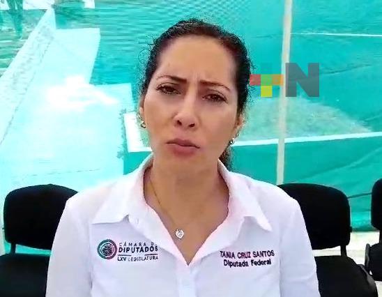 Libros de texto son apoyo, maestros tienen capacidad y criterio para impartir clases: Tania Cruz