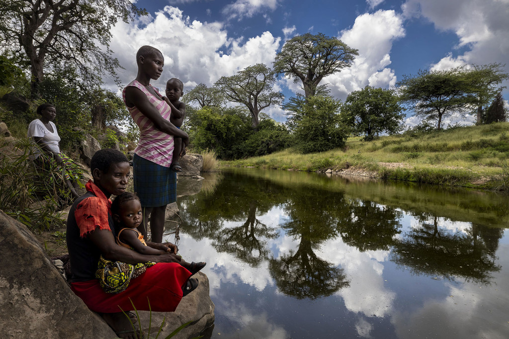 Elaboran hoja de ruta para fortalecer sistemas alimentarios en Zimbabue